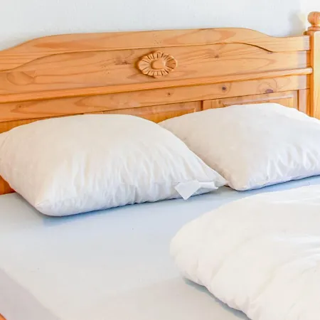 Lovely Holiday In Near Sea Beach Tatil Evi De Haan